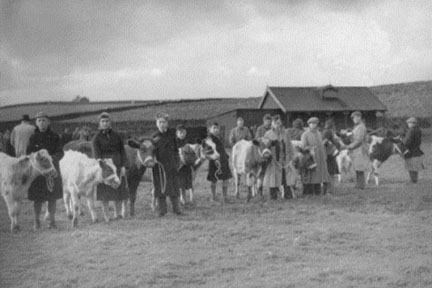 An early Worth Valley Calf Show Line-up; Cross Roads Cricket Club